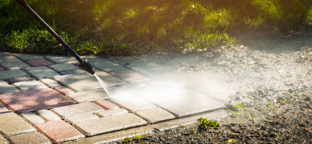 Animal Enclosure Cleaning in Gloversville, NY